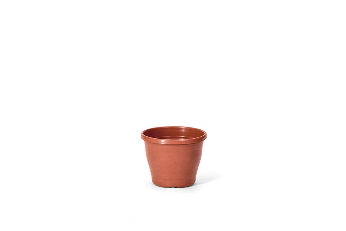 Vaso Primavera 02