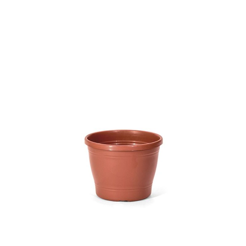 Vaso Primavera 03