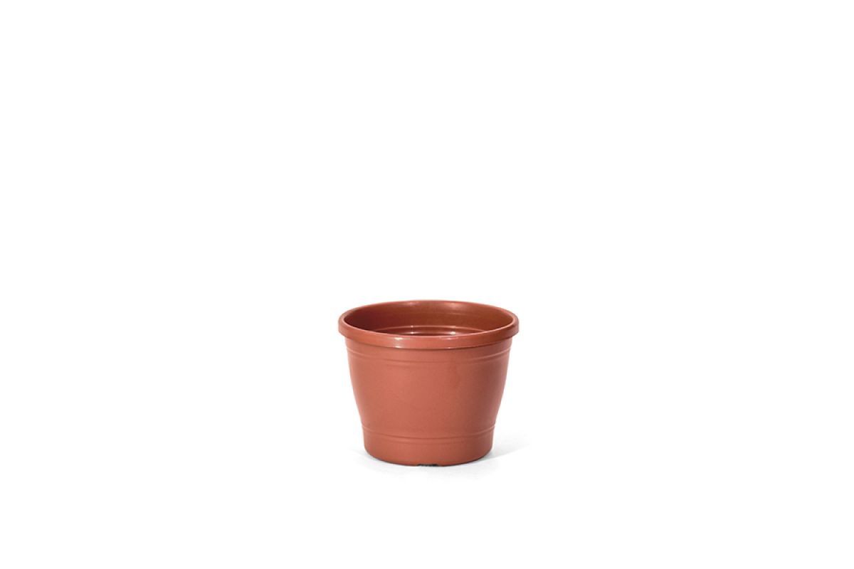 Vaso Primavera 03
