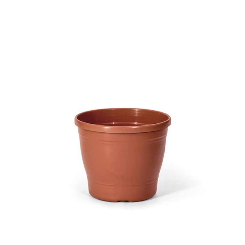 Vaso Primavera 04