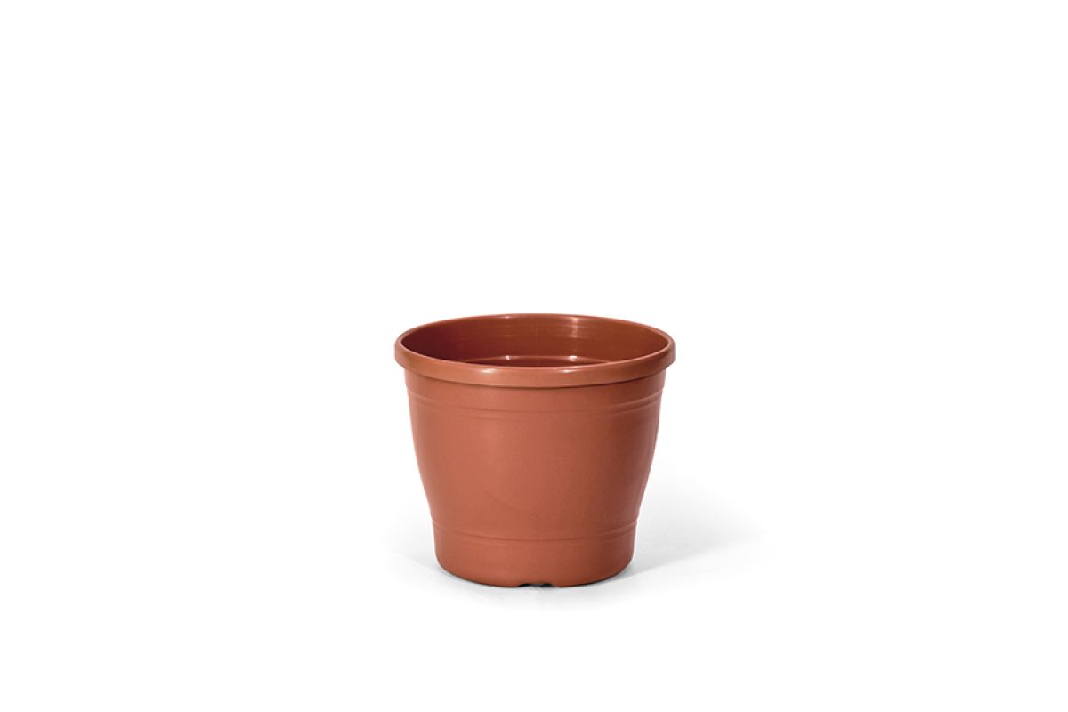 Vaso Primavera 04