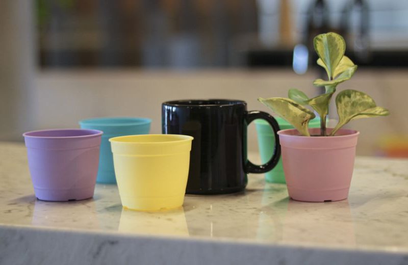 Vaso Aquarela 02,5