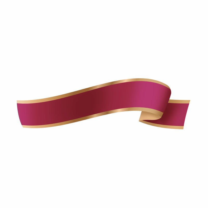 Fita Maxi FM 03D Ameixa/Ouro