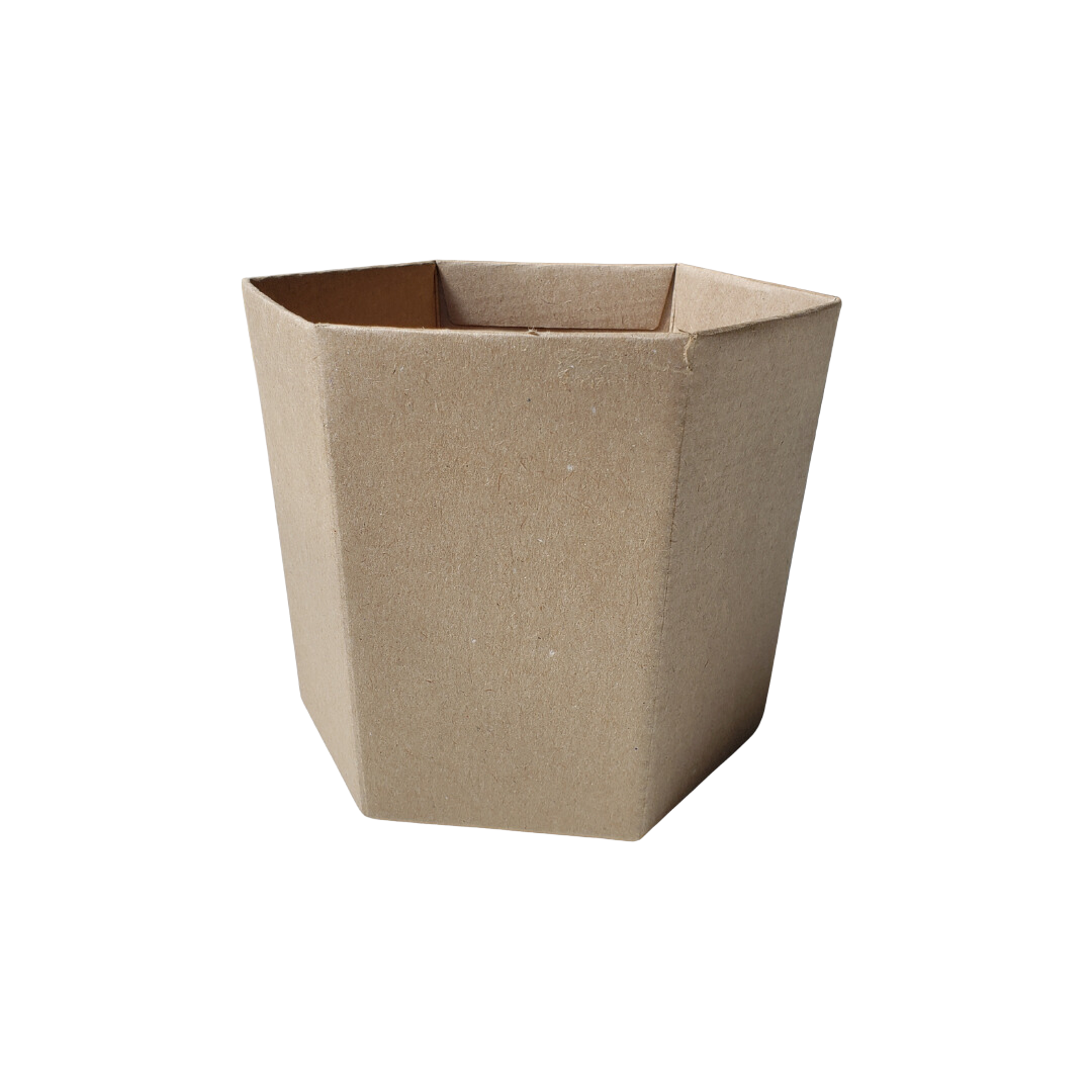 Cachepot Sextavado Crisantemo Kraft