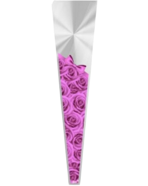 Poli Cone Lia Rosa