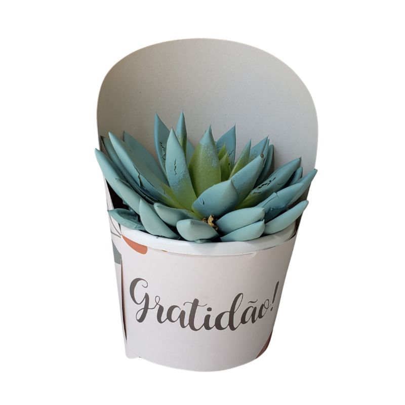 Cinta Cover Pote 15 Gratidão
