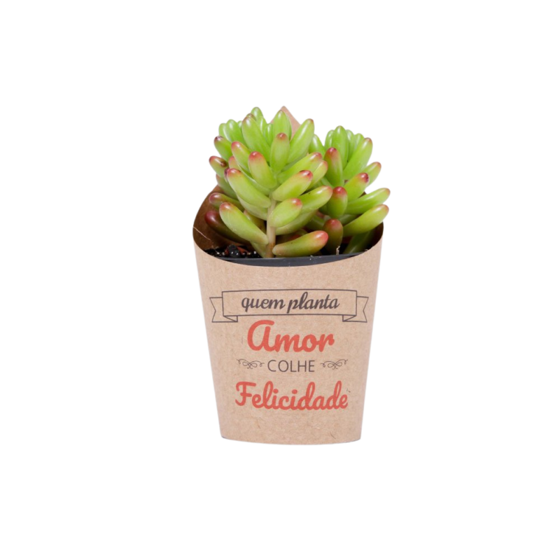 Cinta Cover Pote 6 Quem Planta Amor Colhe Felicidade